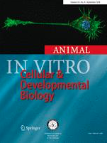 In vitro cellular development biology