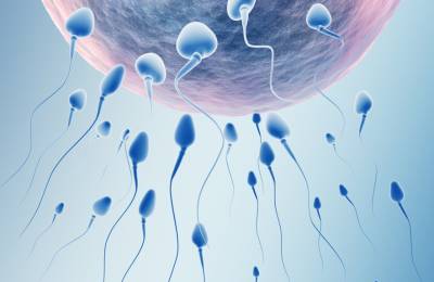 Sperm Concentration Remains Stable Among Fertile American Men: A Systematic Review and Meta-Analysis