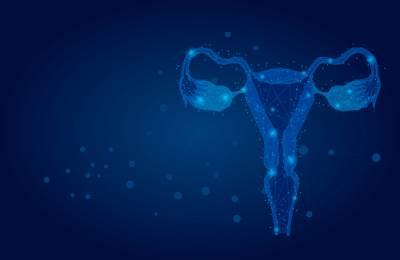 Human Endometrial Cell Atlas published