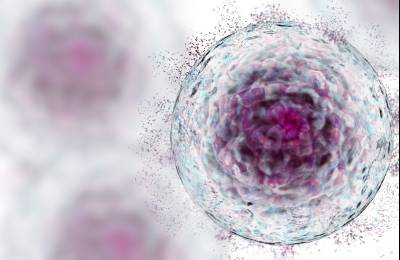 Third Person Worldwide Cured of HIV After Stem Cell Transplant