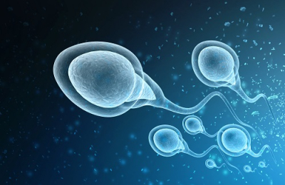 Ultrasound Can Speed Up Sperm
