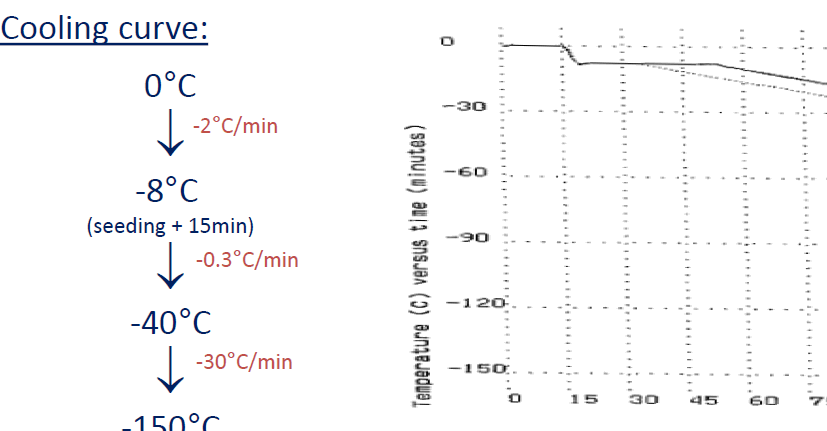 Ovarian tissue freezing cooling curve