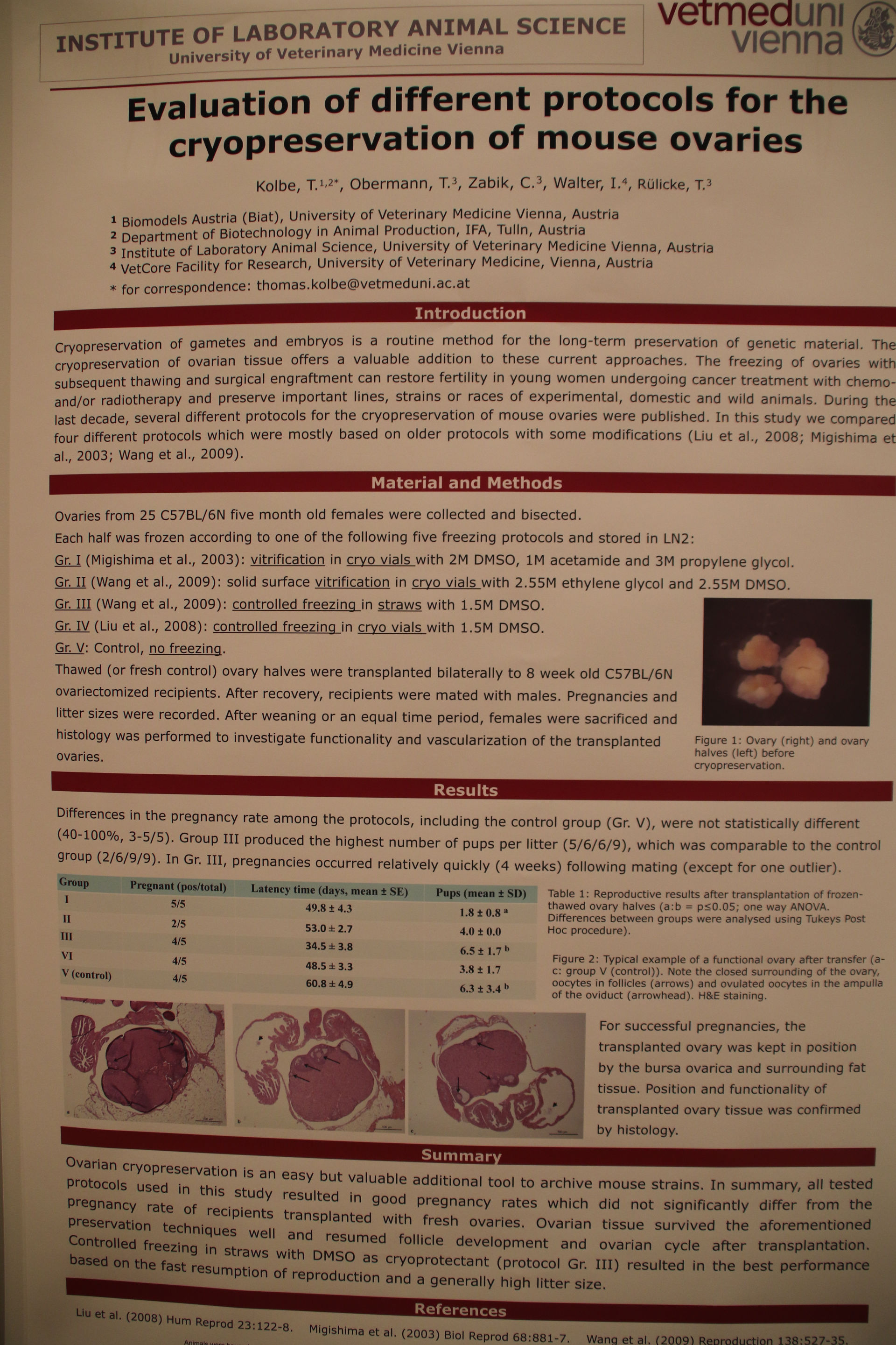 Evaluation of different protocols for the cryopreservation of mouse ovaries