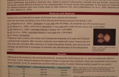 Evaluation of different protocols for the cryopreservation of mouse ovaries; T. Kolbe et al