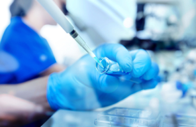 Temperature Fluctuations During Embryo Transfer Can be Mitigated by Optimising Transfer Protocol